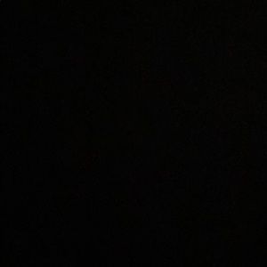 Meet your Posher, Tamia